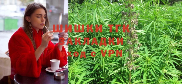дживик Нея